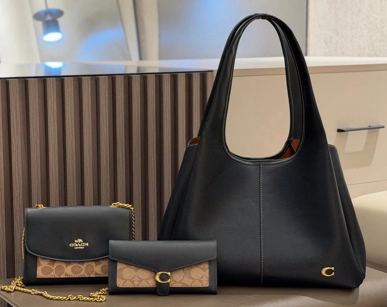 Set Coach Willow & Slim Crossbody (3 Piezas)