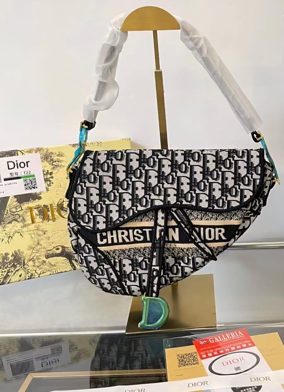 Dior Saddle Bag Oblique Embroidery